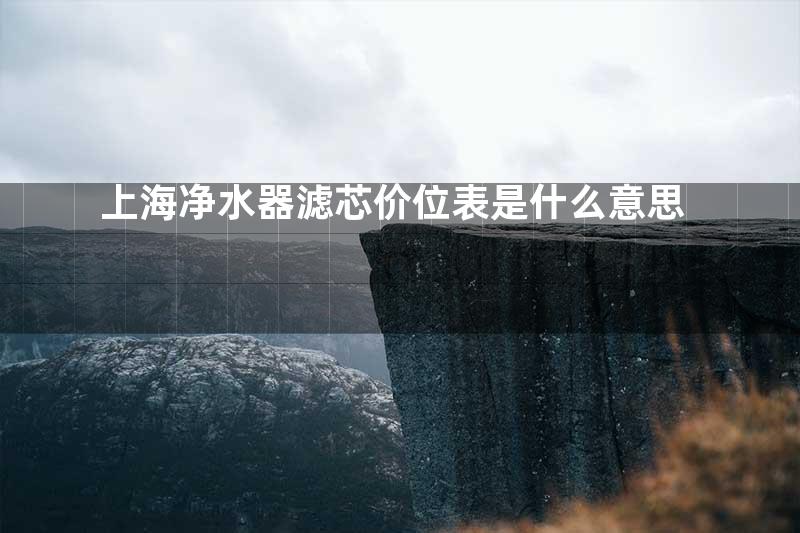 上海净水器滤芯价位表是什么意思