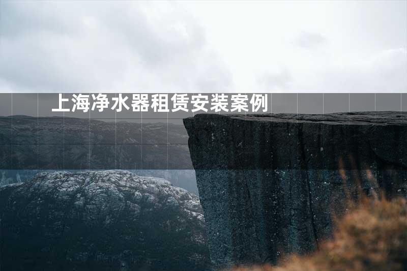 上海净水器租赁安装案例
