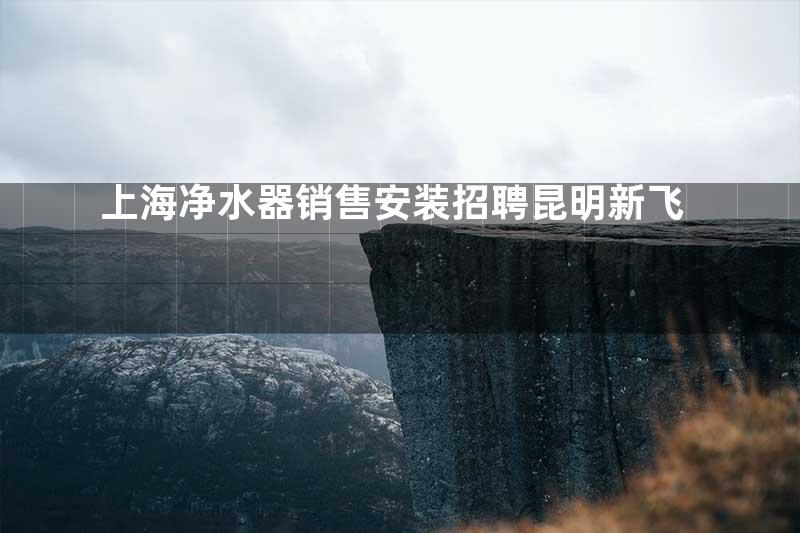 上海净水器销售安装招聘昆明新飞