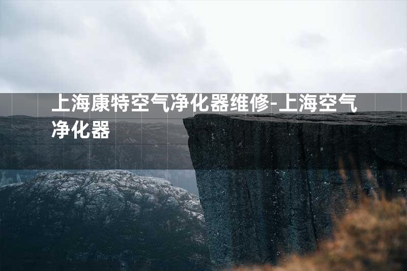 上海康特空气净化器维修-上海空气净化器