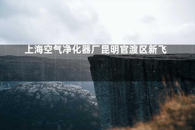 上海空气净化器厂昆明官渡区新飞