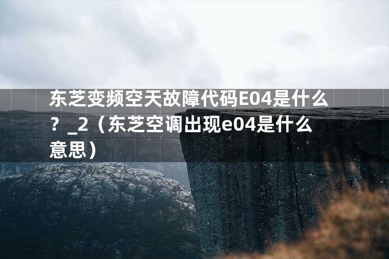 东芝变频空天故障代码E04是什么？_2（东芝空调出现e04是什么意思）