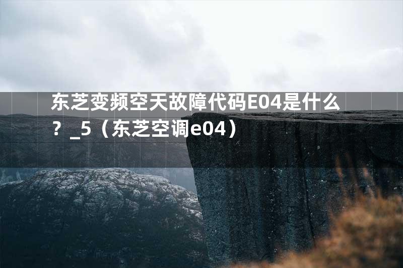 东芝变频空天故障代码E04是什么？_5（东芝空调e04）