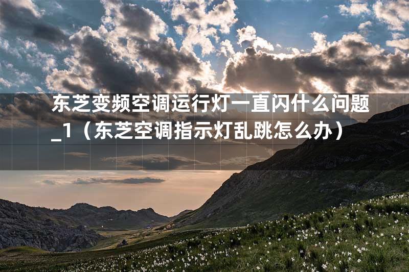 东芝变频空调运行灯一直闪什么问题_1（东芝空调指示灯乱跳怎么办）