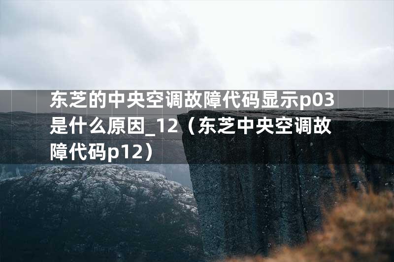 东芝的中央空调故障代码显示p03是什么原因_12（东芝中央空调故障代码p12）