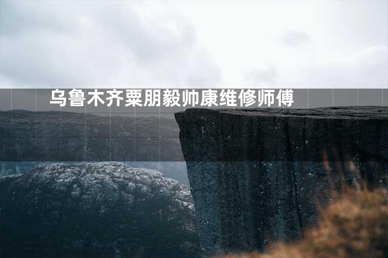 乌鲁木齐粟朋毅帅康维修师傅