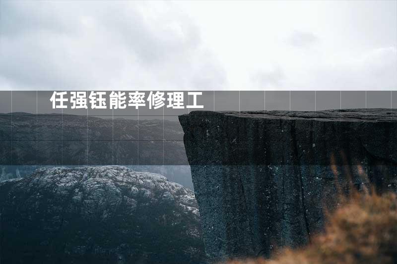 任强钰能率修理工