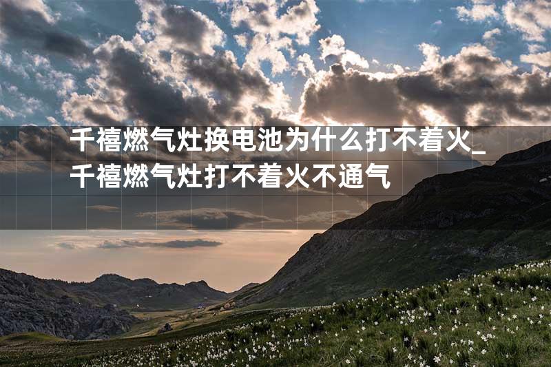 千禧燃气灶换电池为什么打不着火_千禧燃气灶打不着火不通气