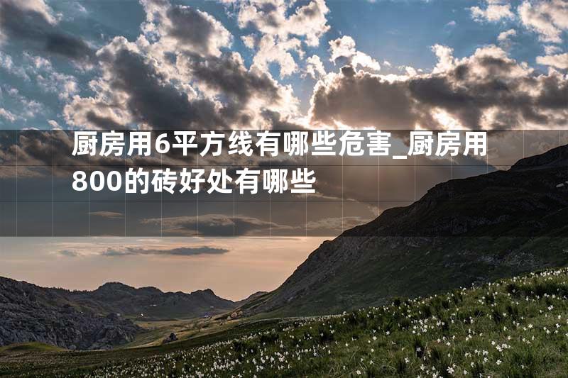 厨房用6平方线有哪些危害_厨房用800的砖好处有哪些