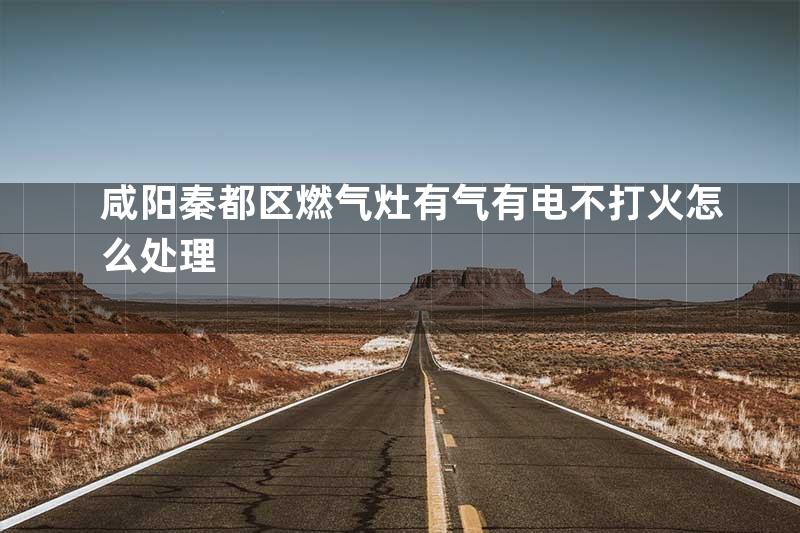 咸阳秦都区燃气灶有气有电不打火怎么处理