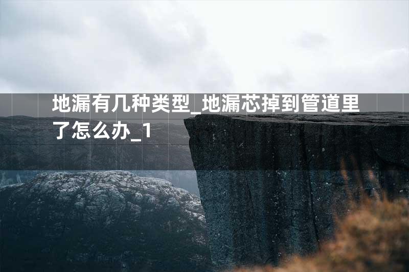 地漏有几种类型_地漏芯掉到管道里了怎么办_1