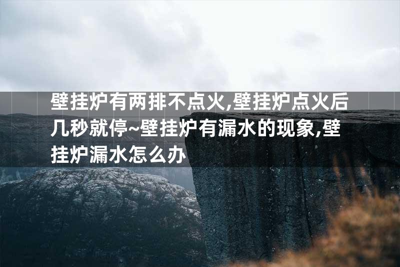 壁挂炉有两排不点火,壁挂炉点火后几秒就停~壁挂炉有漏水的现象,壁挂炉漏水怎么办