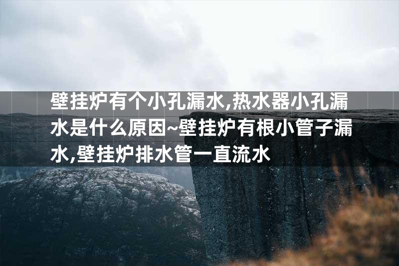 壁挂炉有个小孔漏水,热水器小孔漏水是什么原因~壁挂炉有根小管子漏水,壁挂炉排水管一直流水