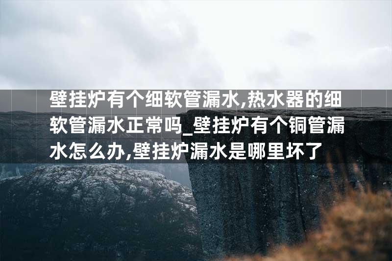 壁挂炉有个细软管漏水,热水器的细软管漏水正常吗_壁挂炉有个铜管漏水怎么办,壁挂炉漏水是哪里坏了