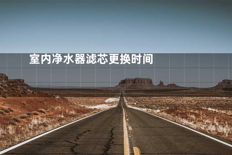 室内净水器滤芯更换时间