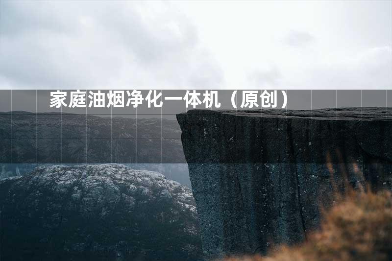家庭油烟净化一体机（原创）