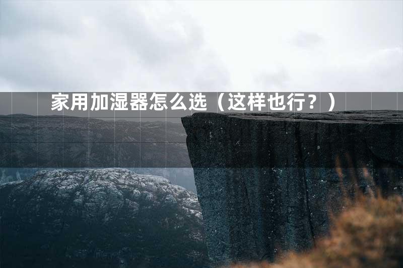 家用加湿器怎么选（这样也行？）