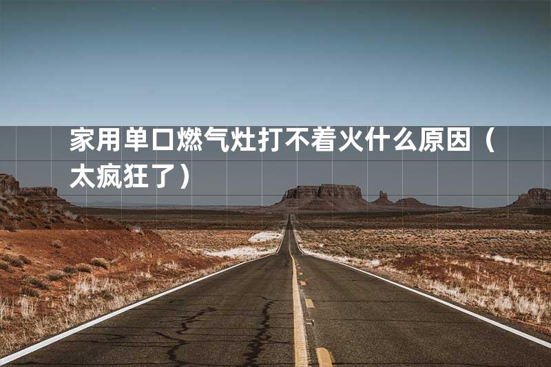 家用单口燃气灶打不着火什么原因（太疯狂了）