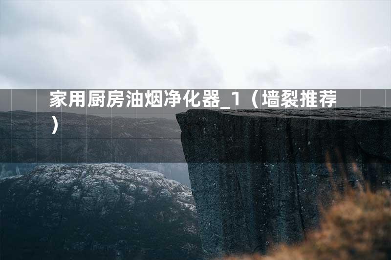 家用厨房油烟净化器_1（墙裂推荐）