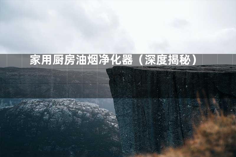 家用厨房油烟净化器（深度揭秘）