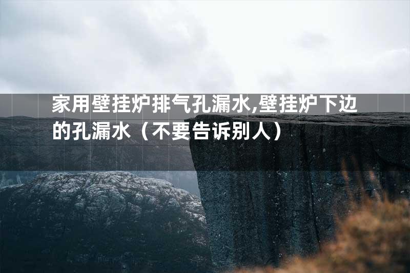 家用壁挂炉排气孔漏水,壁挂炉下边的孔漏水（不要告诉别人）