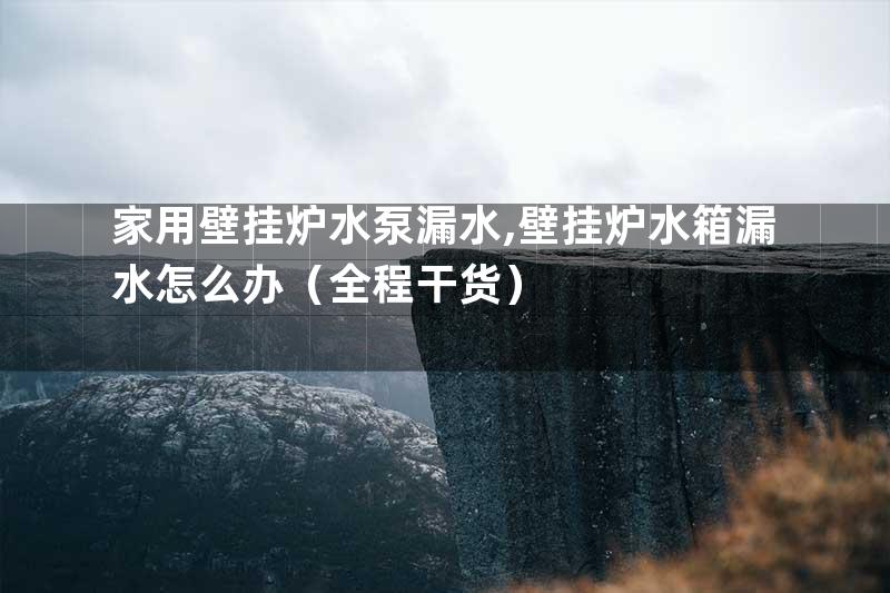 家用壁挂炉水泵漏水,壁挂炉水箱漏水怎么办（全程干货）