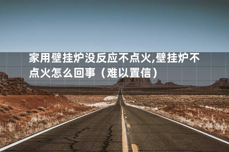 家用壁挂炉没反应不点火,壁挂炉不点火怎么回事（难以置信）