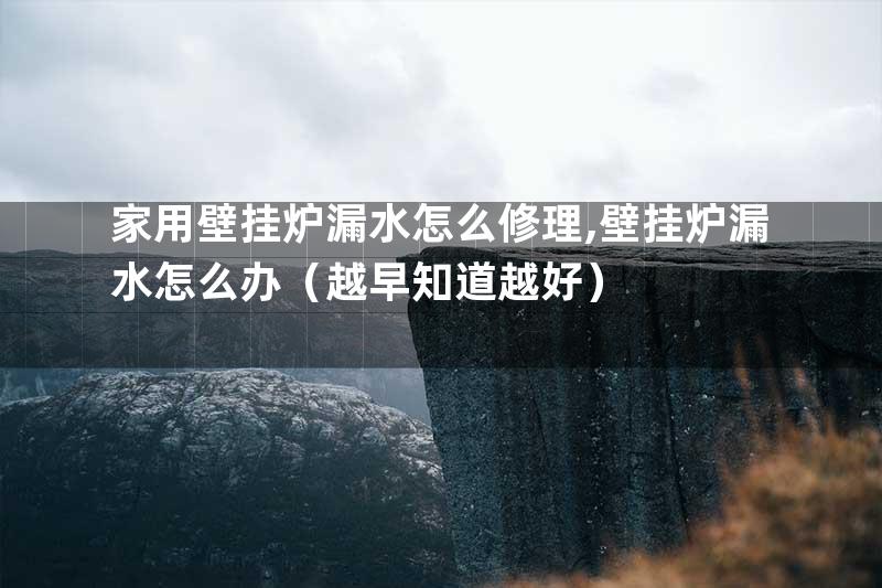 家用壁挂炉漏水怎么修理,壁挂炉漏水怎么办（越早知道越好）
