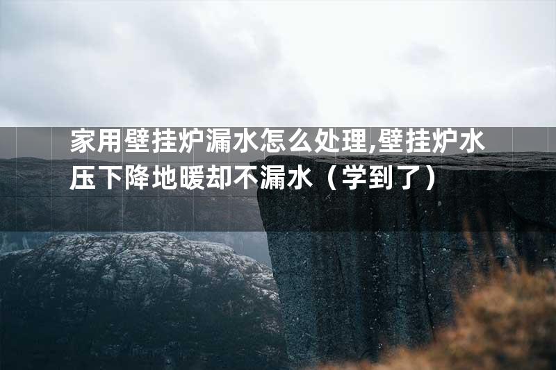 家用壁挂炉漏水怎么处理,壁挂炉水压下降地暖却不漏水（学到了）