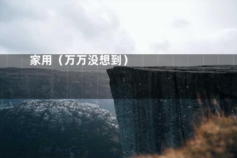 家用（万万没想到）