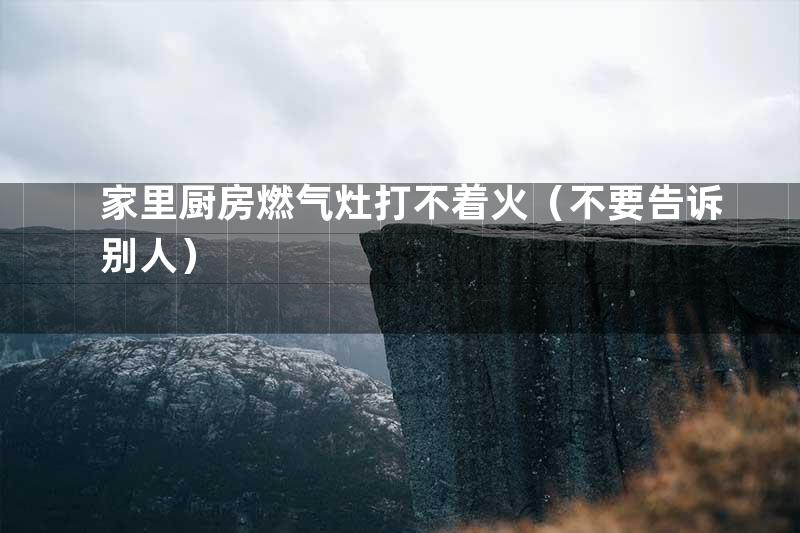 家里厨房燃气灶打不着火（不要告诉别人）