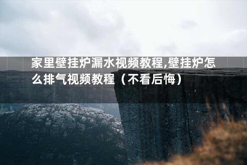 家里壁挂炉漏水视频教程,壁挂炉怎么排气视频教程（不看后悔）
