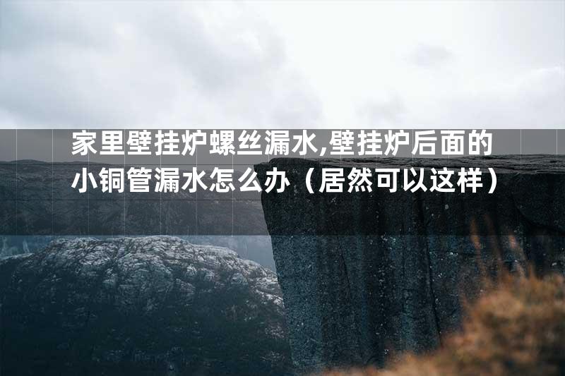 家里壁挂炉螺丝漏水,壁挂炉后面的小铜管漏水怎么办（居然可以这样）