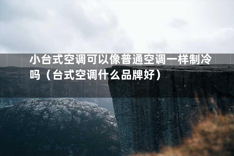 小台式空调可以像普通空调一样制冷吗（台式空调什么品牌好）