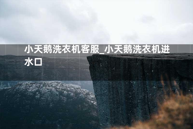 小天鹅洗衣机客服_小天鹅洗衣机进水口