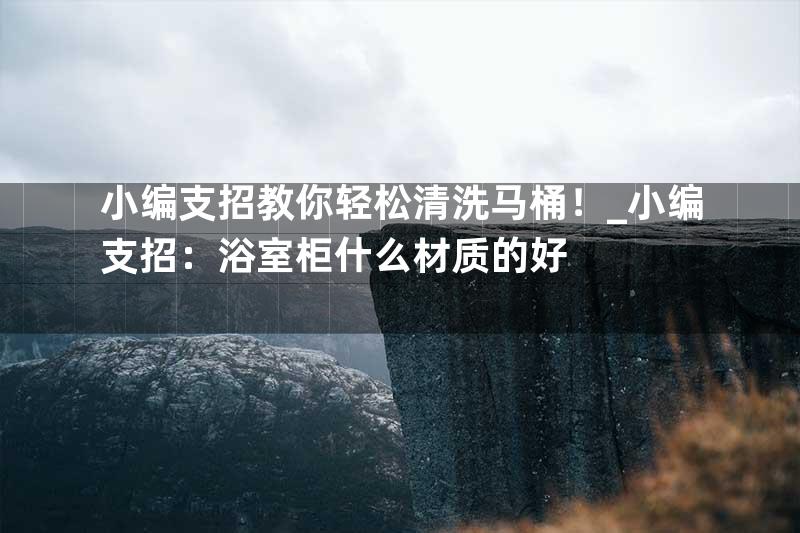 小编支招教你轻松清洗马桶！_小编支招：浴室柜什么材质的好