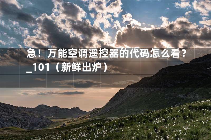 急！万能空调遥控器的代码怎么看？_101（新鲜出炉）