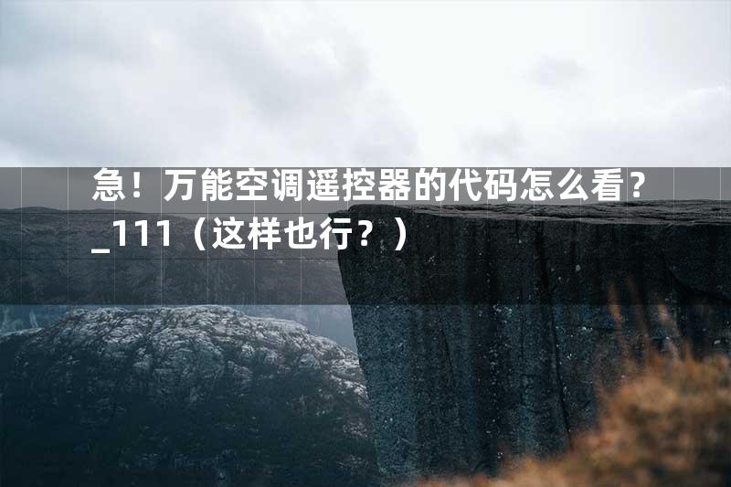 急！万能空调遥控器的代码怎么看？_111（这样也行？）