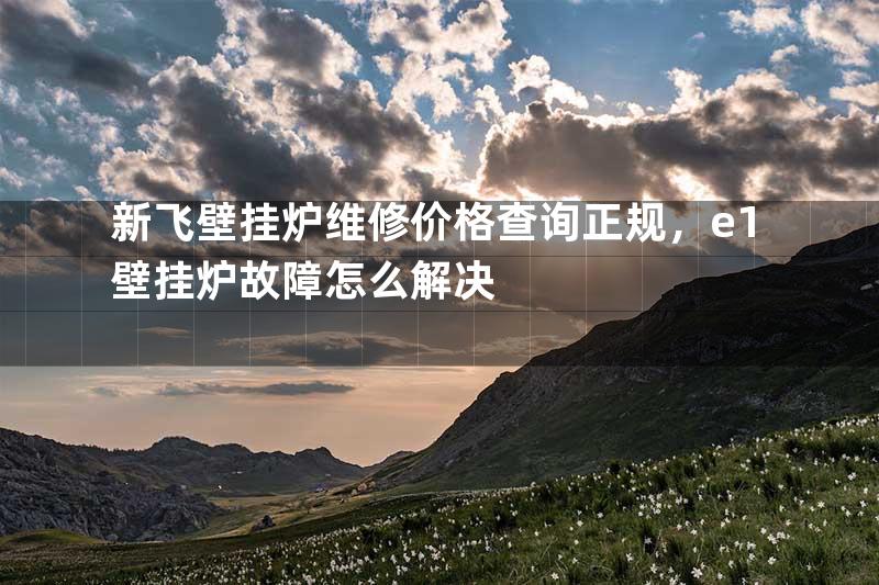 新飞壁挂炉维修价格查询正规，e1壁挂炉故障怎么解决