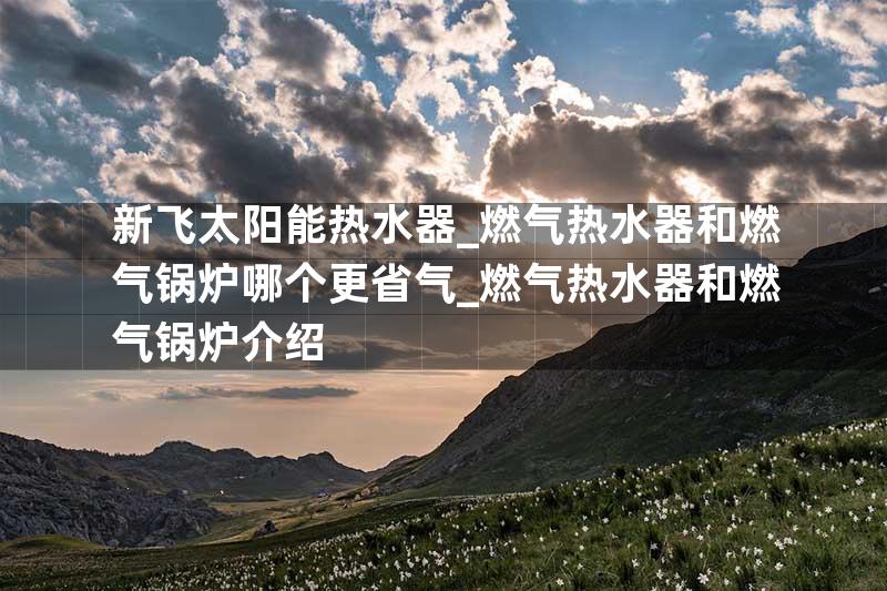 新飞太阳能热水器_燃气热水器和燃气锅炉哪个更省气_燃气热水器和燃气锅炉介绍