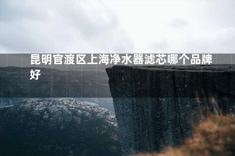 昆明官渡区上海净水器滤芯哪个品牌好