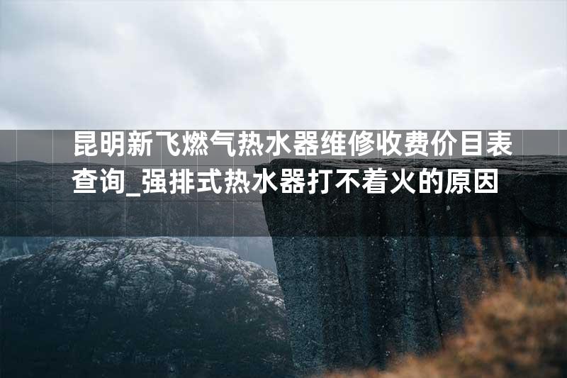 昆明新飞燃气热水器维修收费价目表查询_强排式热水器打不着火的原因