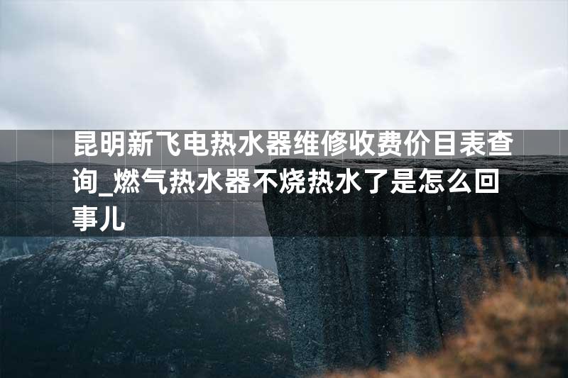 昆明新飞电热水器维修收费价目表查询_燃气热水器不烧热水了是怎么回事儿