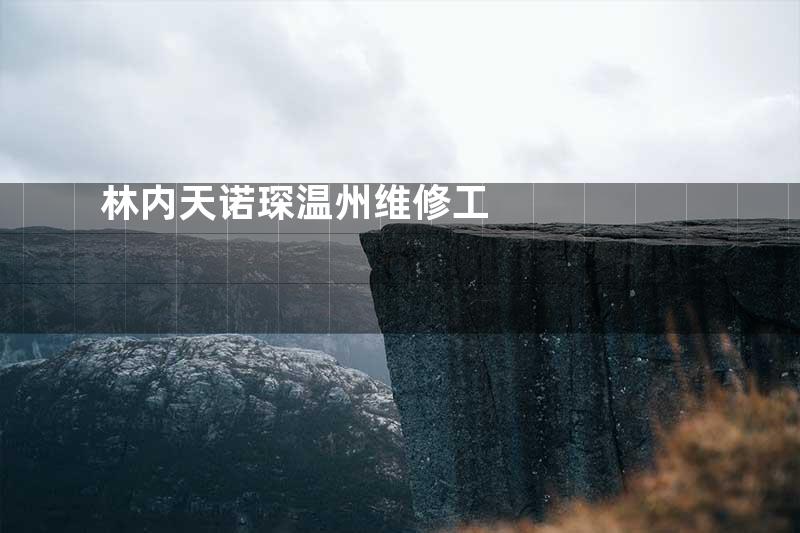 林内天诺琛温州维修工