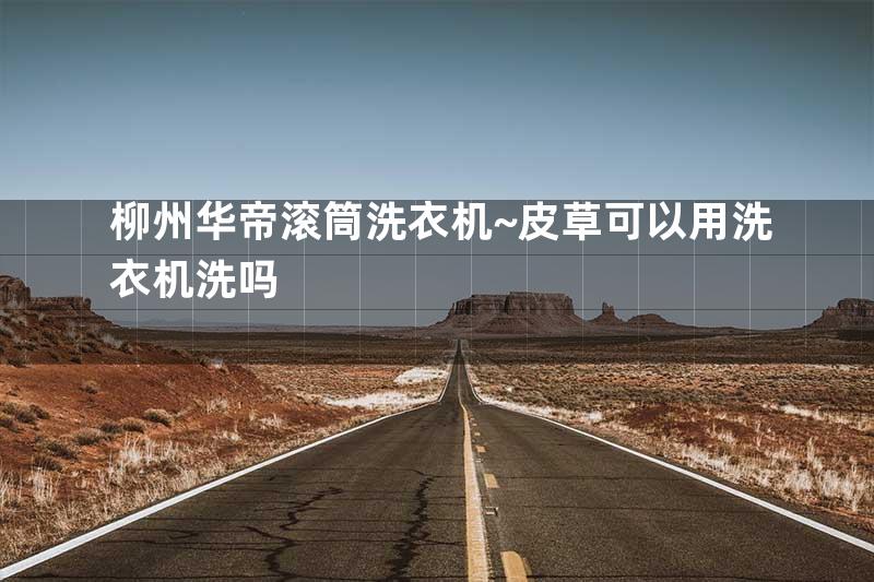柳州华帝滚筒洗衣机~皮草可以用洗衣机洗吗