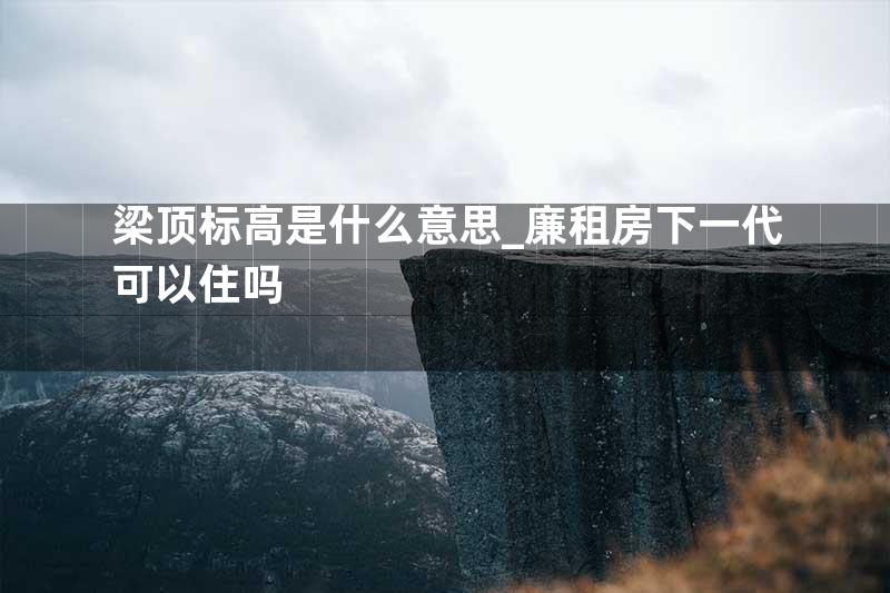 梁顶标高是什么意思_廉租房下一代可以住吗