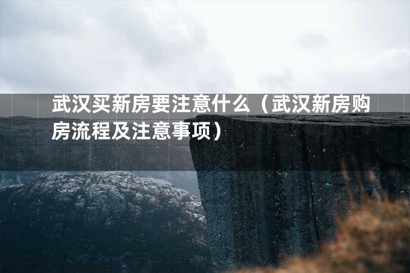 武汉买新房要注意什么（武汉新房购房流程及注意事项）