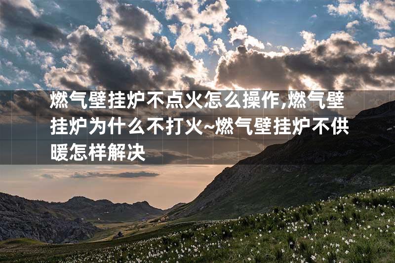 燃气壁挂炉不点火怎么操作,燃气壁挂炉为什么不打火~燃气壁挂炉不供暖怎样解决