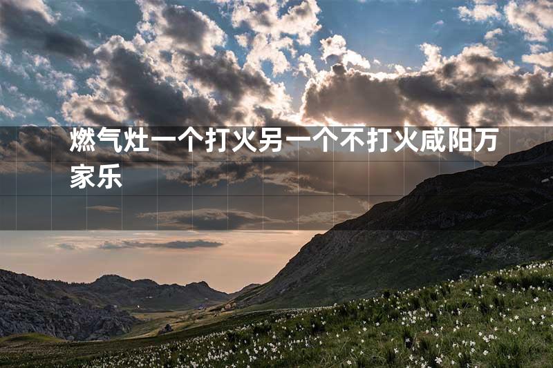 燃气灶一个打火另一个不打火咸阳万家乐