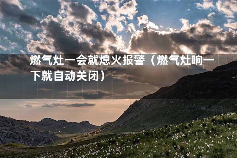 燃气灶一会就熄火报警（燃气灶响一下就自动关闭）